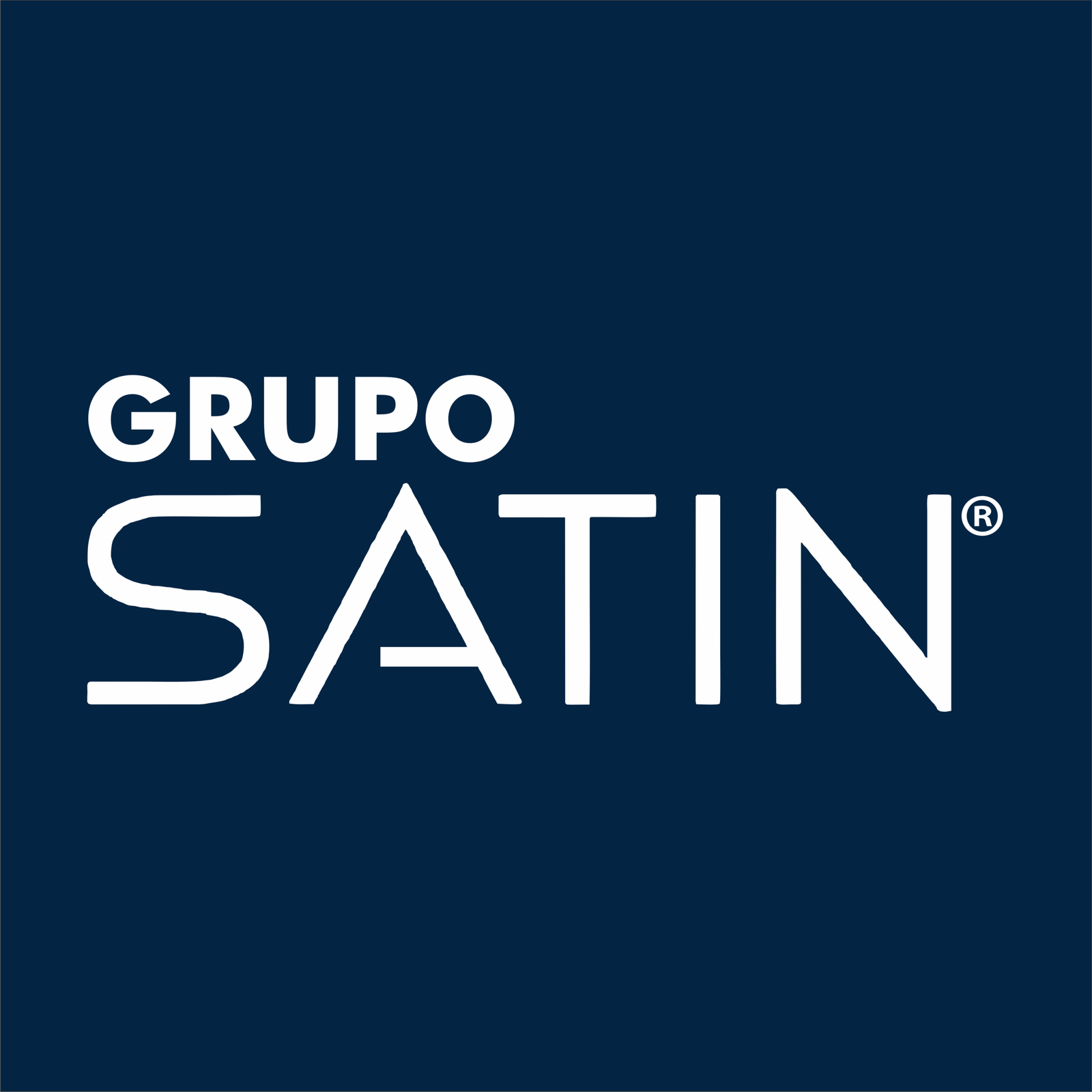 Grupo Satin